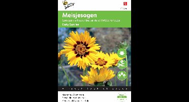 Buzzy® Coreopsis Early sunrise