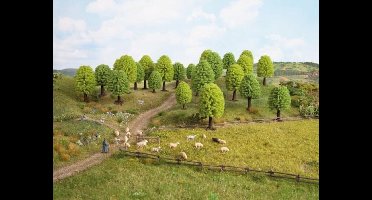 NOCH Hobby 32801 Set bomen Loofboom 35 tot 50 mm 25 stuk(s)