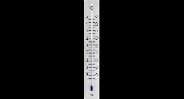 Thermometer bin/bui RVS geborsteld 28 cm