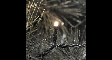 Konst Smide Kerstverlichting buiten 3610-140