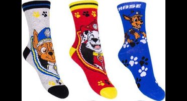 PAW Patrol - Sokken - pack 1 - 3 pack - Maat 31-34