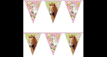 Slingers Paarden (6 meter)