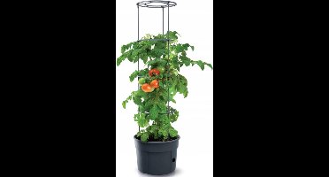Prosperplast Vorstbestendige tomatenpot Tomatenteler IPOM300