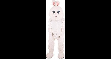 Paashaas kostuum Pluche