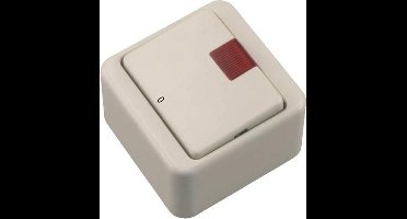 BERKER 2 polige schakelaar - Opbouw - Met controlelamp - Crème