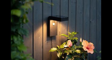 RTM Lighting Solar Wandlamp -Zwart -Warm Wit -20CM -Beweginsmelder