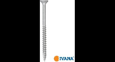 Ivana Buitenschroef AR-Coating Zilver Platkop Met Snijpunt TX-20 4.0x60/36 - 200 Stuks