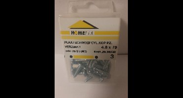 Homefix Plaatschroef. 4.8 x 19mm. lang.20 stuks. Cylinderkop-pzd-2. Verzinkt.
