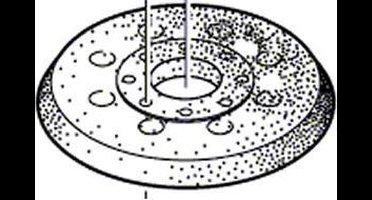 Bosch Accessoires Schuurplateau | 125 mm | Voor Bosch GEX 125-1 AE - 1600A01CU1