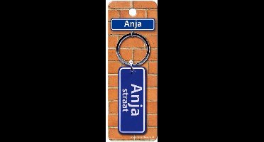 Paper Dreams Sleutelhanger Straatnaam Anja 9 Cm Staal Blauw