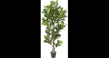 Kunst vioolbladplant 'Ficus lyrata' met pot - h190cm
