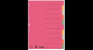 Leitz - 4359 Register A4 Karton - Meerdere kleuren - 10 tabbladen