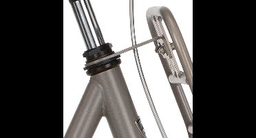 Alpina Voordrager beugel 22.2 vintage gold matt