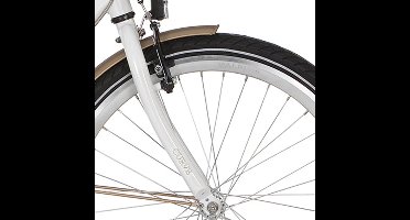 Alpina Voorvork 24 Curve white