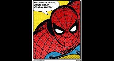 Marvel Poster - Pyramid Spider-man Quote - 50 X 40 Cm - Multicolor