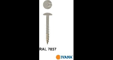 Ivana Gevelschroef t.b.v. Trespa RAL7037 Stofgrijs TX-20 4.8x25 100St