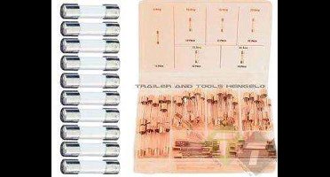 glaszekeringen - 60 delig, 5, 10, 15, 20, 25, 30 ampère