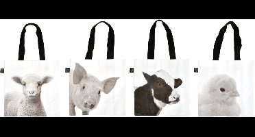 4 mini tassen van baby dieren