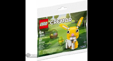 LEGO Creator Paashaasje - 30550
