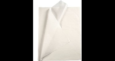 CC Tissuepapier 50x70 cm Wit 25 vel