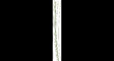 CC Bloemsteeldraad 30 cm Groen 20 Stuks