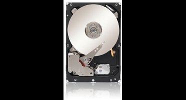 Seagate Constellation ES.3 - Interne harde schijf - 1 TB