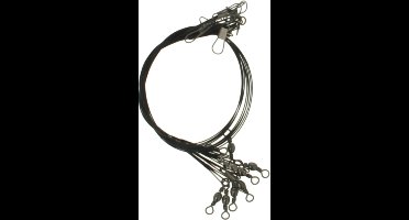 10 Stuks - Staaldraad trekkracht 14 kg / 30cm - geplastificeerd - stalen - onderlijnen - vissen - snoek