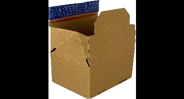 Autolockdoos enkelegolf 400 x 260 x 260 mm | 10 stuks