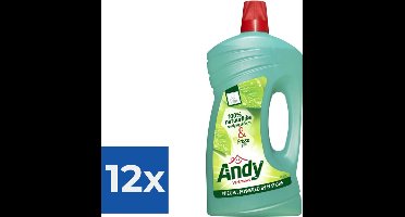 Andy Allesreiniger Vertrouwd 1 L - Voordeelverpakking 12 stuks