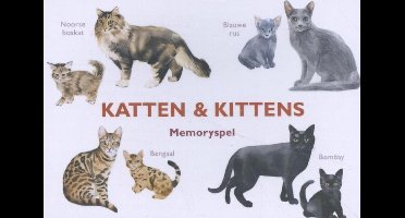 Katten & Kittens