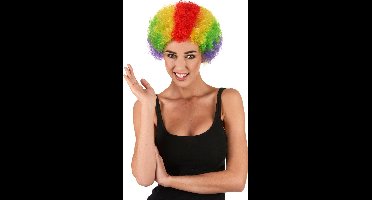 Vegaoo - Veelkleurige Afroclownspruik voor volwassenen