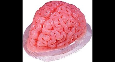 Vegaoo - Doorzichtige hersenen gelei vorm