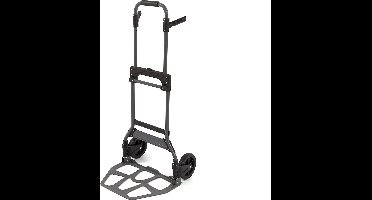 100 Kg. Opvouwbare Steekwagen met Handvaten