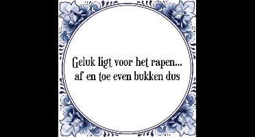 Tegeltje met Spreuk (Tegeltjeswijsheid): Geluk ligt voor het rapen. af en toe even bukken dus + Kado verpakking & Plakhanger