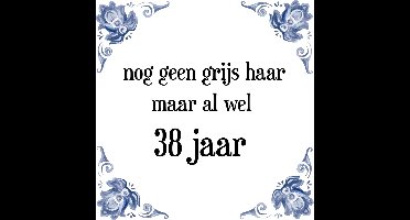 Verjaardag Tegeltje met Spreuk (38 jaar: Nog geen grijs haar, maar al wel 38 jaar + cadeau verpakking & plakhanger