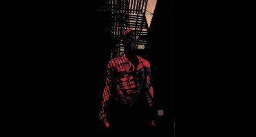 Daredevil Vol.9