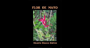Flor de Mayo