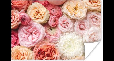 Poster Bloemen - Rozen - Roze - 30x20 cm