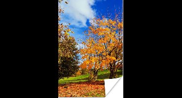 Poster Boom - Bladeren - Herfst - Seizoenen - 20x30 cm