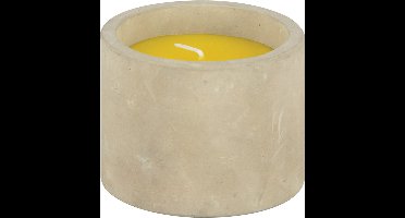Geurkaars citronella - in betonnen houder - 10 branduren - citrus