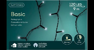 2x stuks kerstverlichting helder wit buiten 120 lampjes - boomverlichting