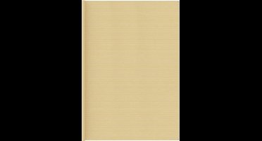 vidaXL - Tenttapijt - 400x700 - cm - beige
