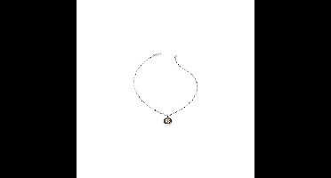 Guess Collier JUMN01313JWYGBKT/U Zilver