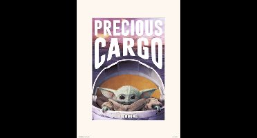STAR WARS THE MANDALORIAN PRECIOUS CARGO - Art Print 30x40 cm