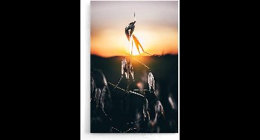 Walljar - Estland - Muurdecoratie - Poster