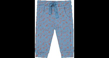 4PRESIDENT Broek Jongens - Zoo AOP - Maat 62