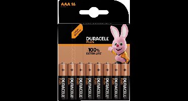 Duracell Plus 100 AAA Alkaline batterij