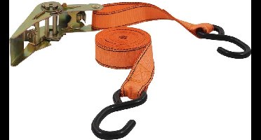 Petex 43192735 Spanband (tweedelig) Trekkracht (lc) vastbinden (enkel/direct): 350 daN (l x b) 5 m x 25 mm Ratelinricht
