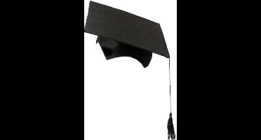 Afstudeerhoedje geslaagd met kwast - volwassenen - zwart - Examen diploma uitreiking - feestartikelen