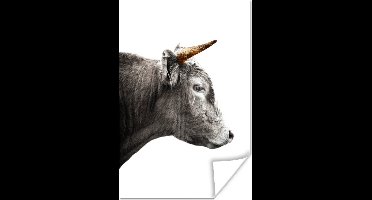 Poster Schotse Hooglander - Dieren - Koe - 20x30 cm